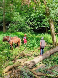 ECURIE-BOIS-DE-MONT-SERVICES-13-q3fmh087rqre7uyp048ayjjgkebuum4g94kcq6xgjk