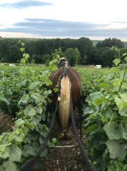 ECURIE-BOIS-DE-MONT-SERVICES-4-q3felx61hz8lnm5s0r370z7w0tmao8anbzhzk6nugw